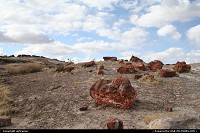 Photo by airtrainer |  Petrified Forest trail, trunk, petrified, colors